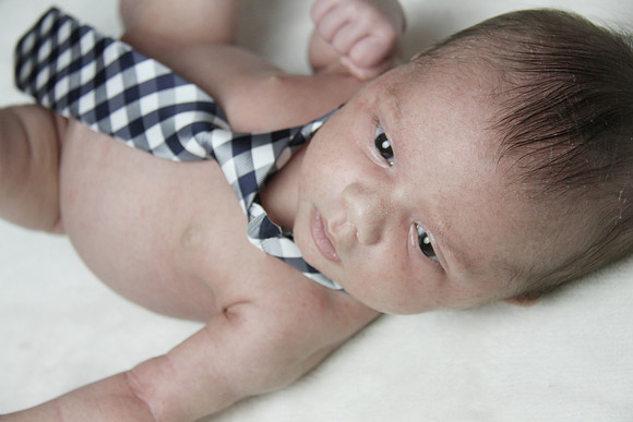 IMG72347Rev